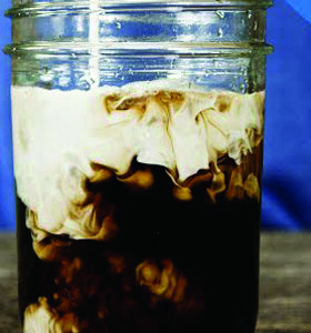 Chaga Brain Tonic